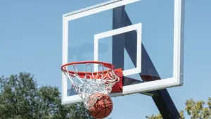 Basketbola bumba ielido grozā pret zilu debesu un koku fonu.
