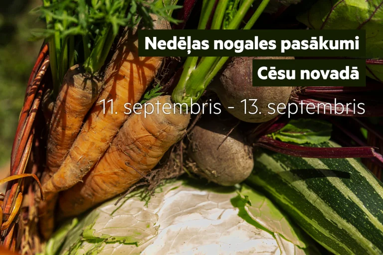 Nedēļas nogale Cēsu novadā: no čellu konkursa līdz garšu festivālam